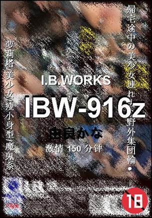 IBW-916zѸ