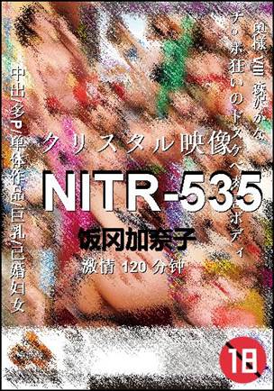 NITR-535BT