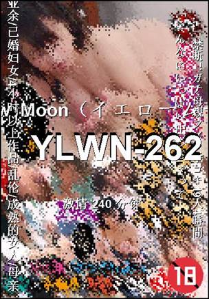 YLWN-262BT����