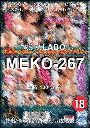 MEKO-267BT����