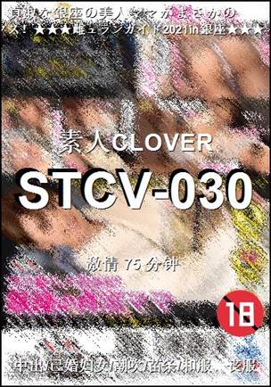 STCV-030Ѹ