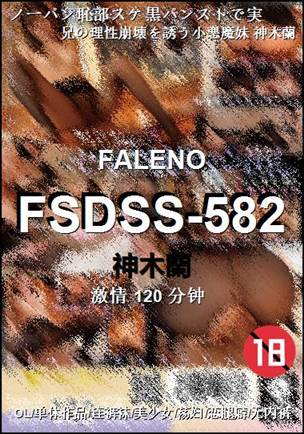 FSDSS-582BT