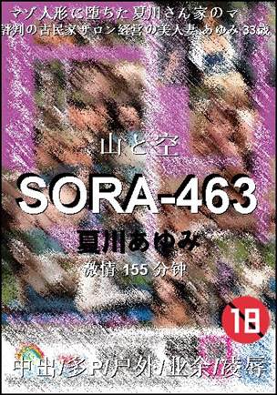 SORA-463BT
