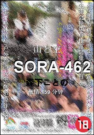 SORA-462Ѹ