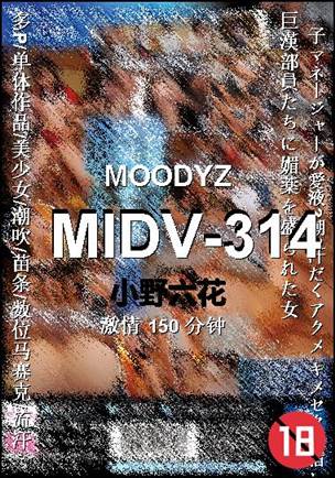 MIDV-314Ѹ