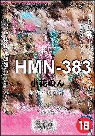 HMN-383BT