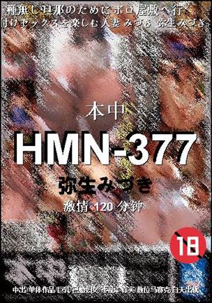 HMN-377Ѹ