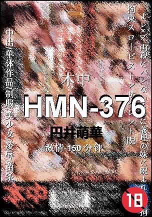 HMN-376Ѹ