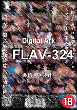 FLAV-324BT