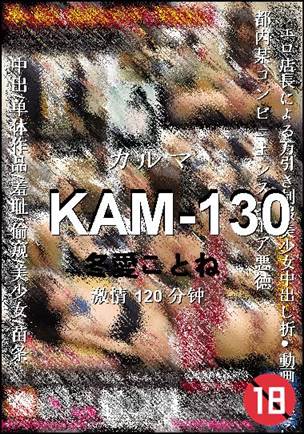 KAM-130Ѹ