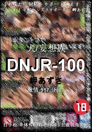DNJR-100Ѹ