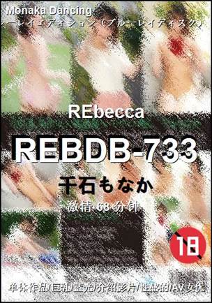 REBDB-733BT
