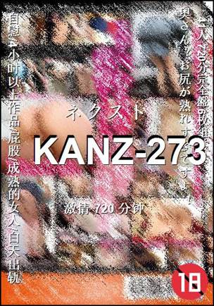 KANZ-273Ѹ