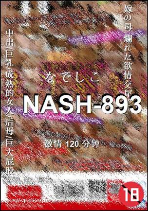 NASH-893Ѹ