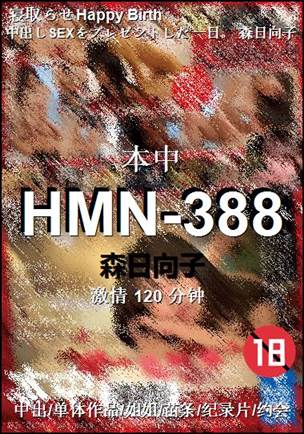 HMN-388Ѹ