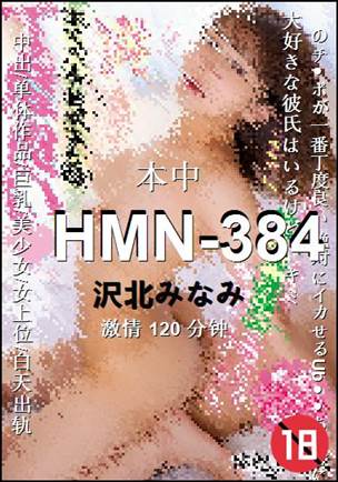 HMN-384BT