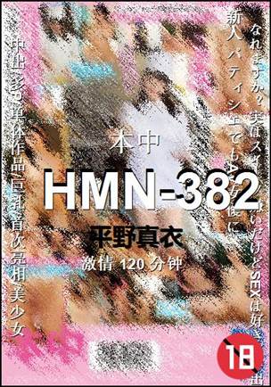 HMN-382Ѹ