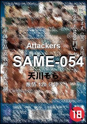 SAME-054BT����
