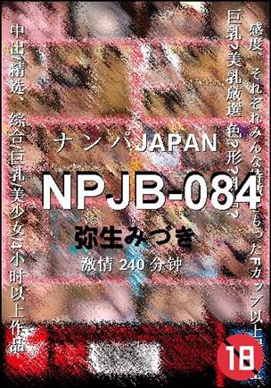 NPJB-084BT