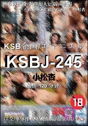 KSBJ-245BT����