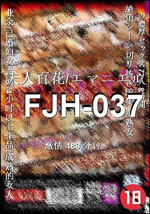 FJH-037Ѹ