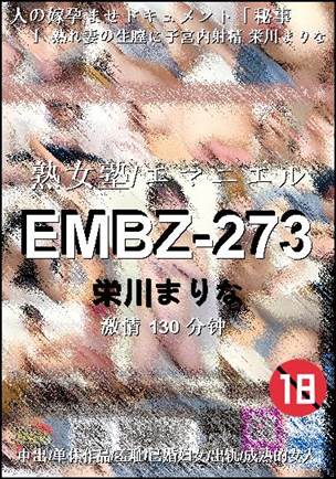 EMBZ-273Ѹ