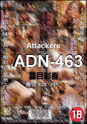 ADN-463BT