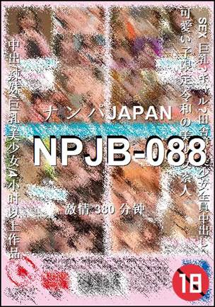 NPJB-088Ѹ
