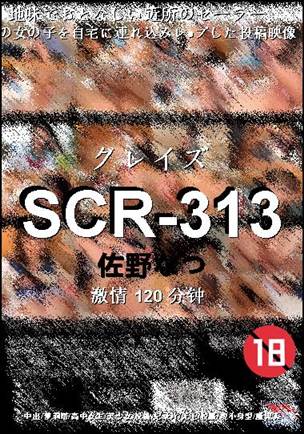 SCR-313BT����