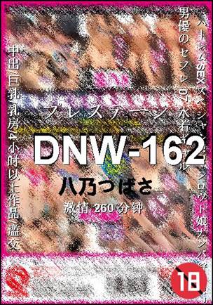 DNW-162Ѹ