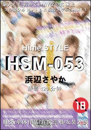 HSM-053Ѹ