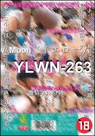 YLWN-263BT