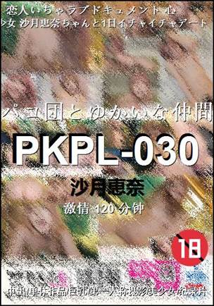 PKPL-030Ѹ