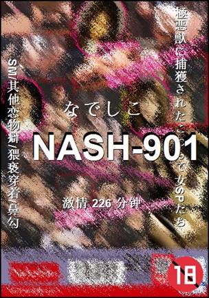 NASH-901Ѹ