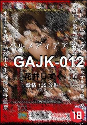 GAJK-012Ѹ