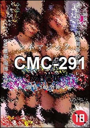 CMC-291BT