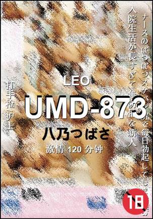 UMD-873BT