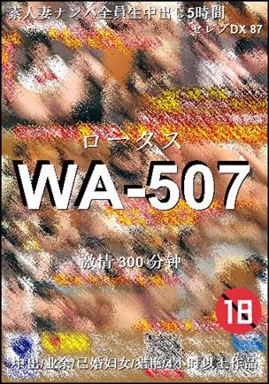WA-507Ѹ
