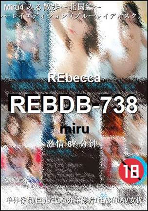 REBDB-738BT