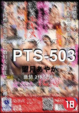 PTS-503Ѹ