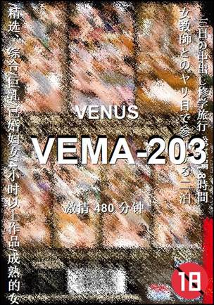 VEMA-203BT