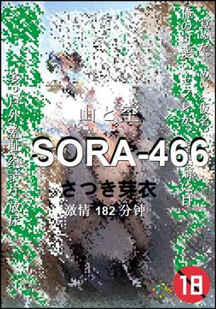 SORA-466Ѹ