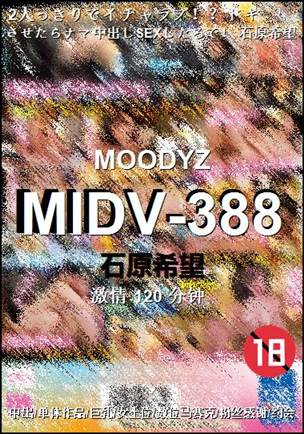 MIDV-388Ѹ