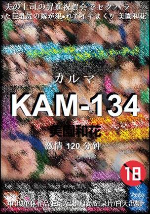 KAM-134Ѹ