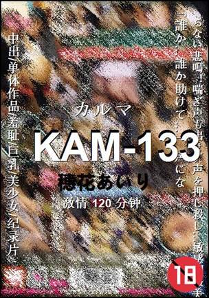 KAM-133BT