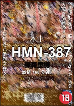 HMN-387Ѹ
