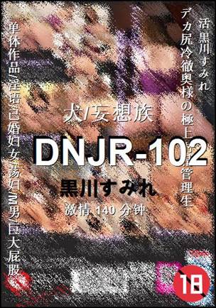DNJR-102BT