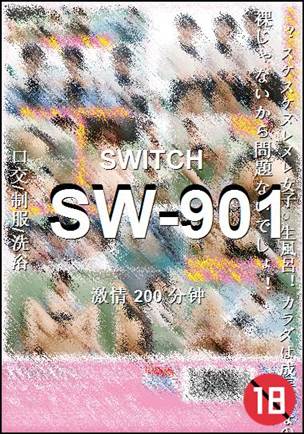 SW-901BT