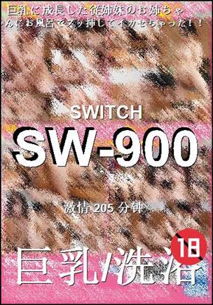 SW-900Ѹ