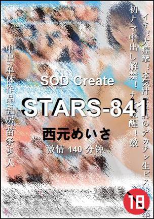 STARS-841Ѹ